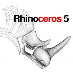 Rhino Crack